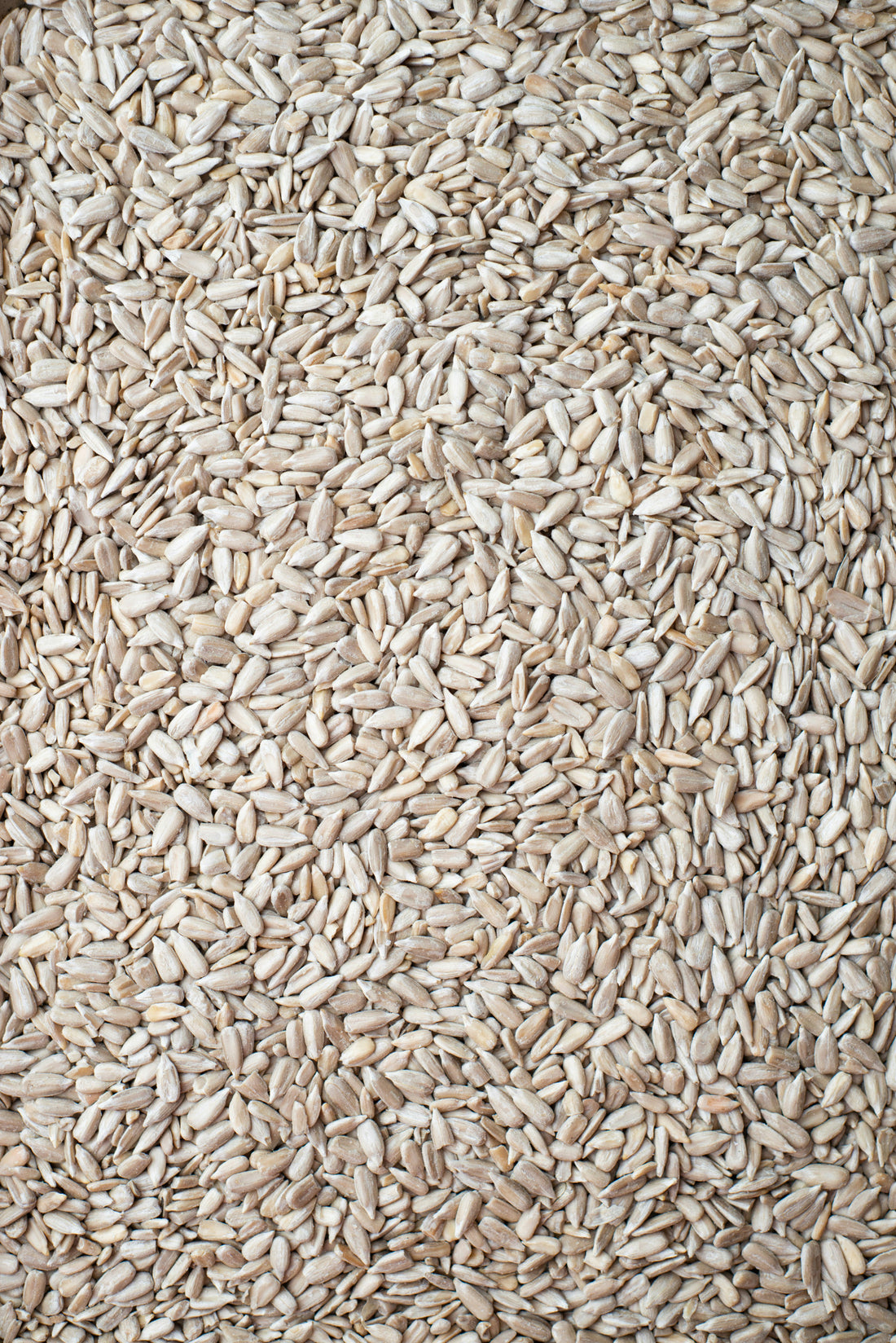Nutrient-rich sunflower seed bread