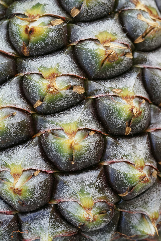 Bromelain: Pineapple's Path to Wellness