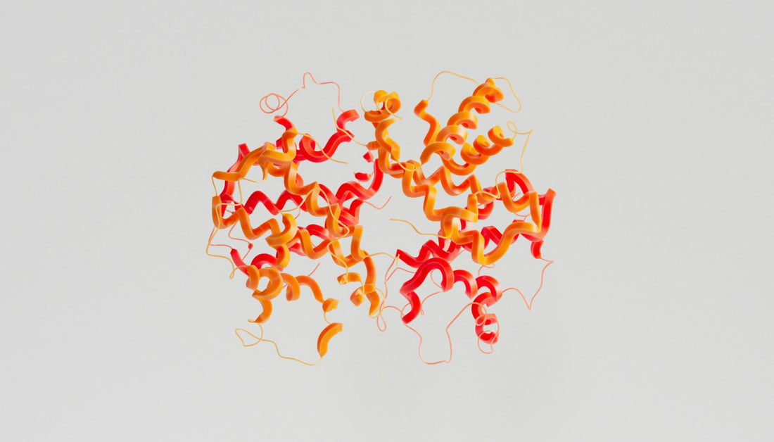 Hallmarks of aging: loss of proteostasis