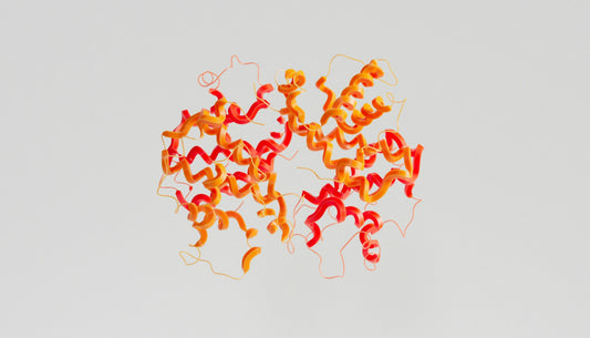 Hallmarks of aging: loss of proteostasis