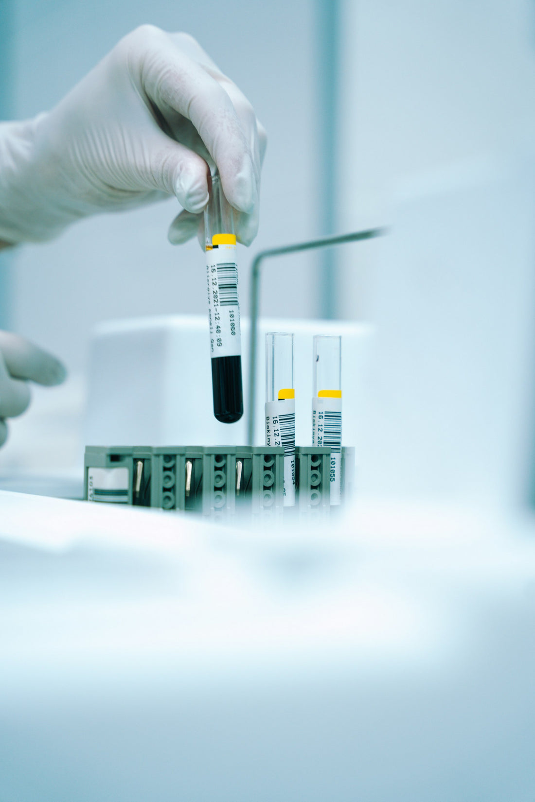 Unveiling your true age: bio-age tests explained