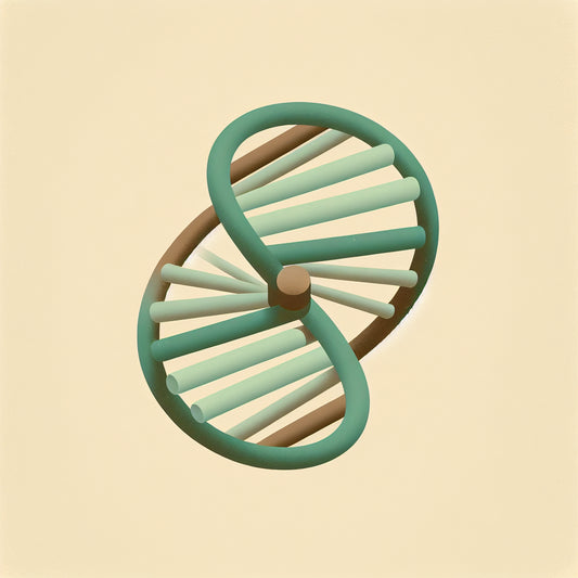 Exploring the potential of DNA nanoturbines