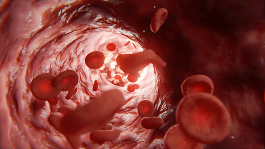 Unveiling stem cells' power in blood disease cure