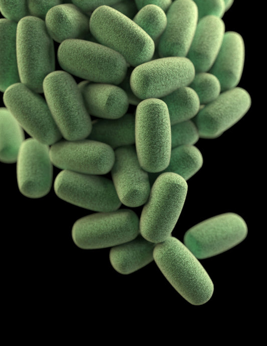 Essential tactics for optimal gut health