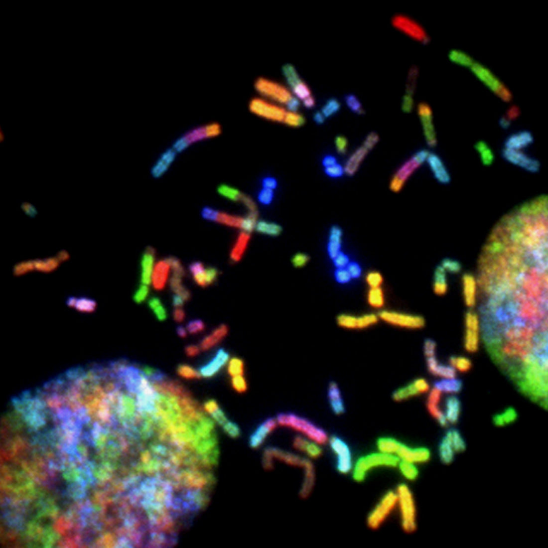Hallmarks of aging: genomic instability