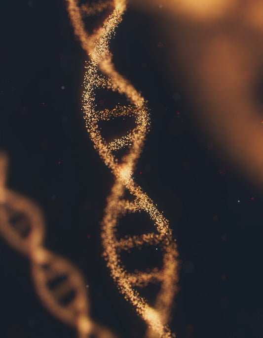 Hallmarks of aging: epigenetic alterations