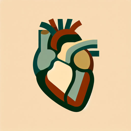 Revolutionary heart therapy boosts healthspan