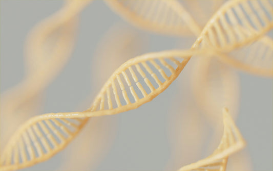 Unlocking longevity: your lifestyle's role