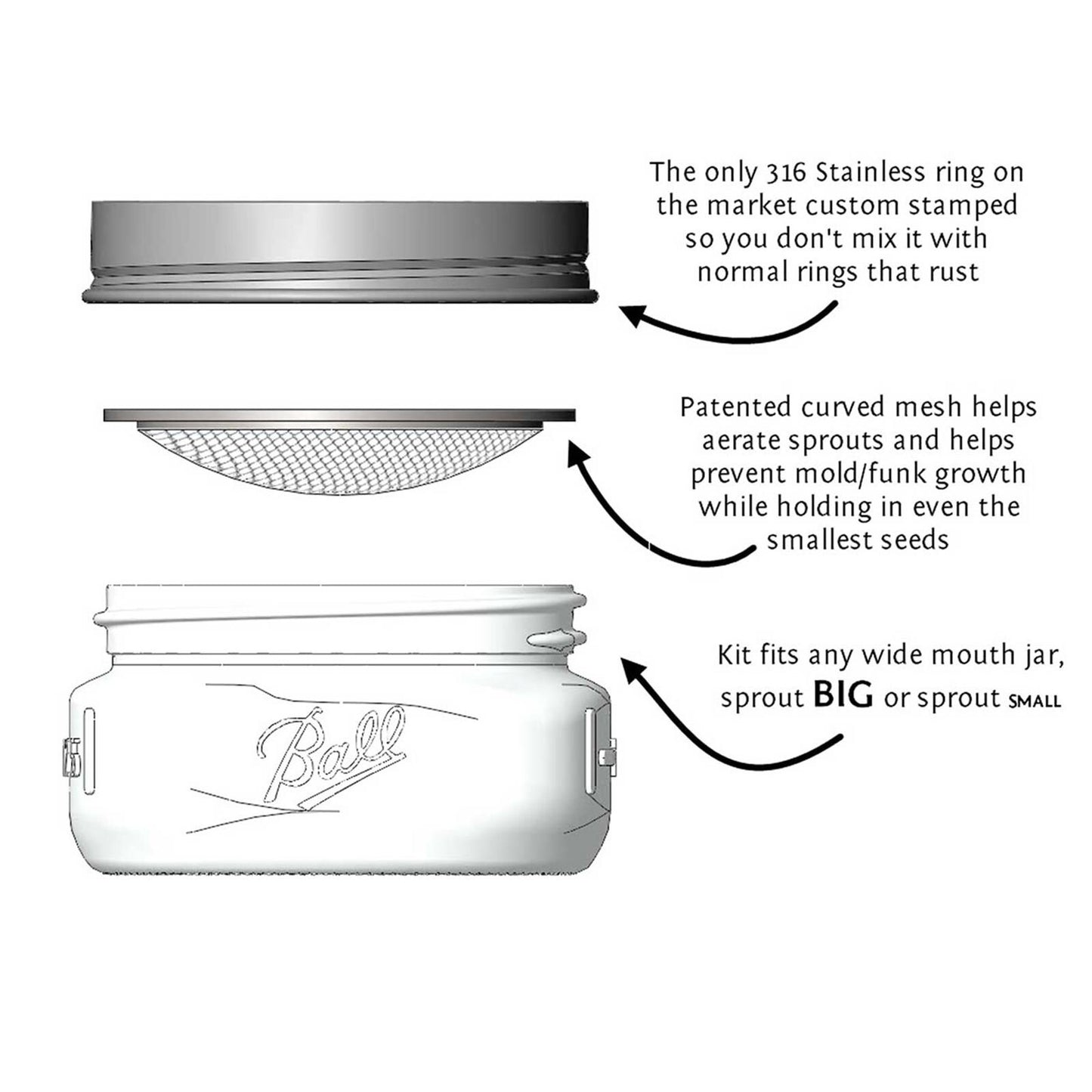Trellis + Co|Stainless Steel Sprouting Kit, 4 Pack with Sprouting Stands|Rust Proof Stainless,Curved Mesh,Fits Most Wide Mouth Mason Jars