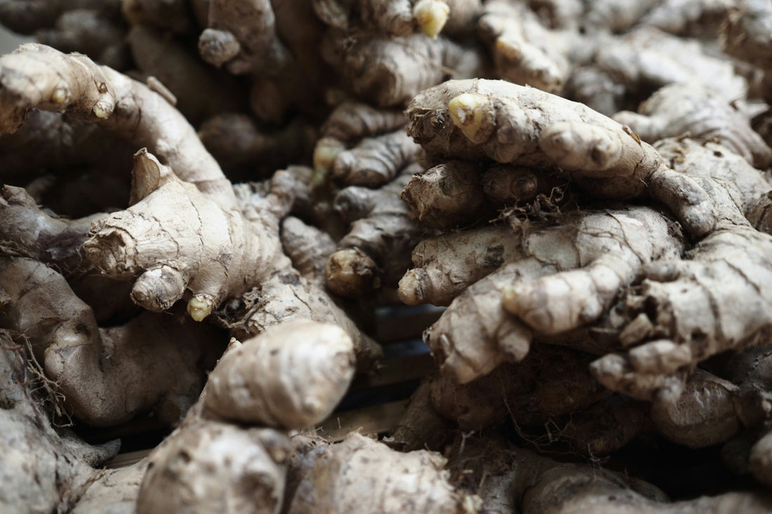 Ginger: Spice Up Your Health and Longevity