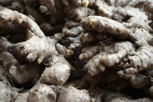 Ginger: Spice Up Your Health and Longevity