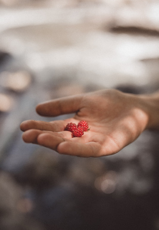 The longevity diet: key foods for a longer life