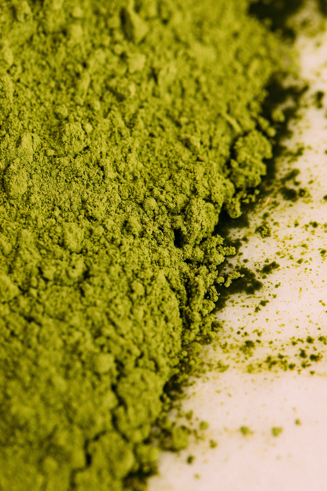 Chlorella: Nutrient Powerhouse for Longevity Nutrition