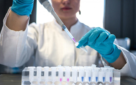 Revolutionizing longevity: breakthrough in aging research