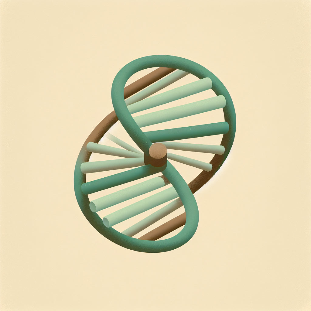 Exploring the potential of DNA nanoturbines