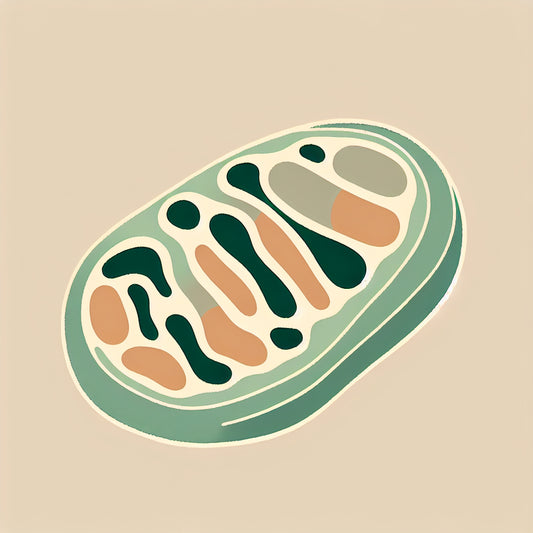 Reevaluating the role of mitochondria in DNA damage