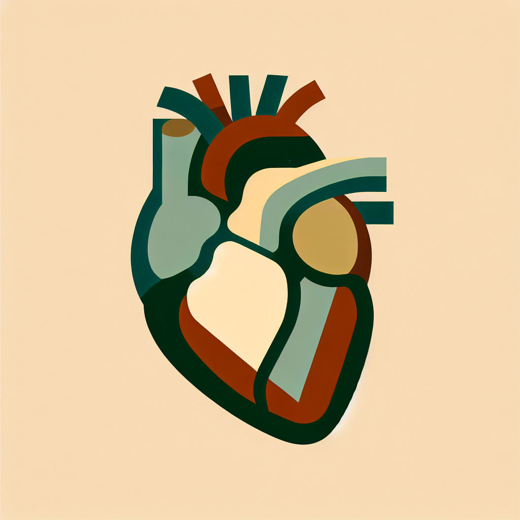 Revolutionary heart therapy boosts healthspan