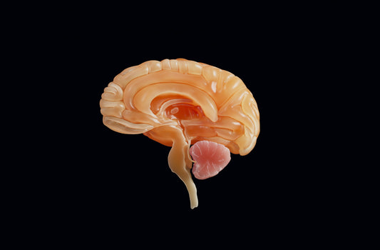Unveiling a gene therapy breakthrough for brain disorders