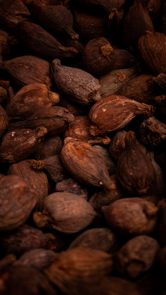 Trigonelline: a natural boost for aging muscles