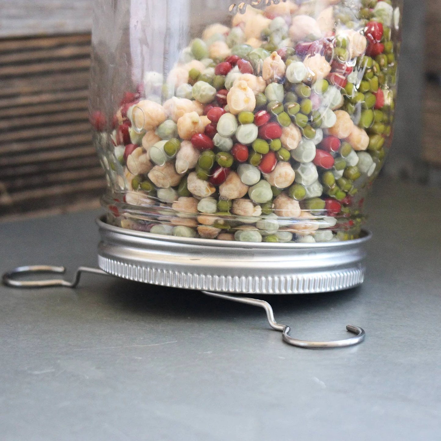 Trellis + Co|Stainless Steel Sprouting Kit, 4 Pack with Sprouting Stands|Rust Proof Stainless,Curved Mesh,Fits Most Wide Mouth Mason Jars